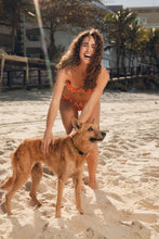 Załaduj obraz do przeglądarki galerii, Image 14: Rio De Sol Figi Bikini Bottom Maracai Essential