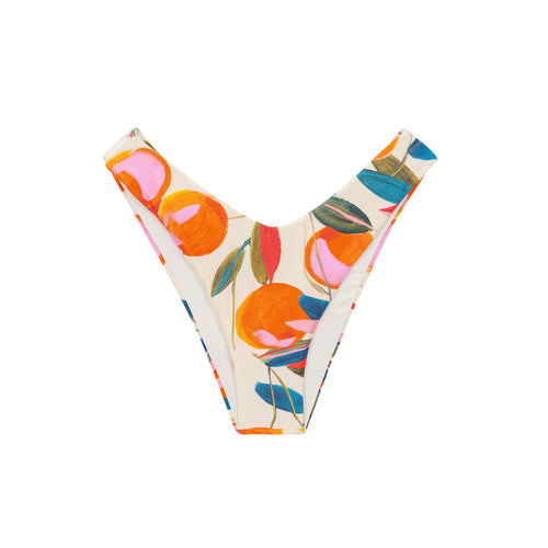 Product Front: Rio De Sol Figi Bikini Bottom Picnic Cali