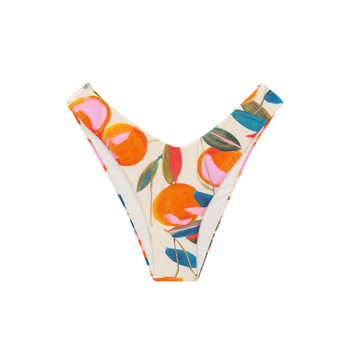 Product Front: Rio De Sol Figi Bikini Bottom Picnic Cali