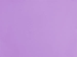 Image 06: Rio De Sol Top Bikini Top Orchid Tri-Inv